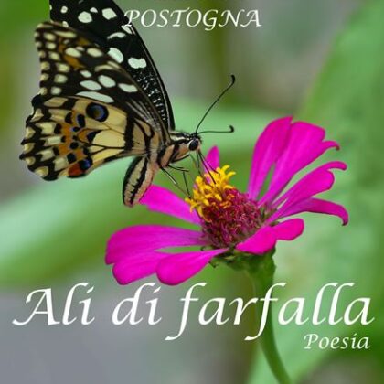 luciano postogna ali di farfalla